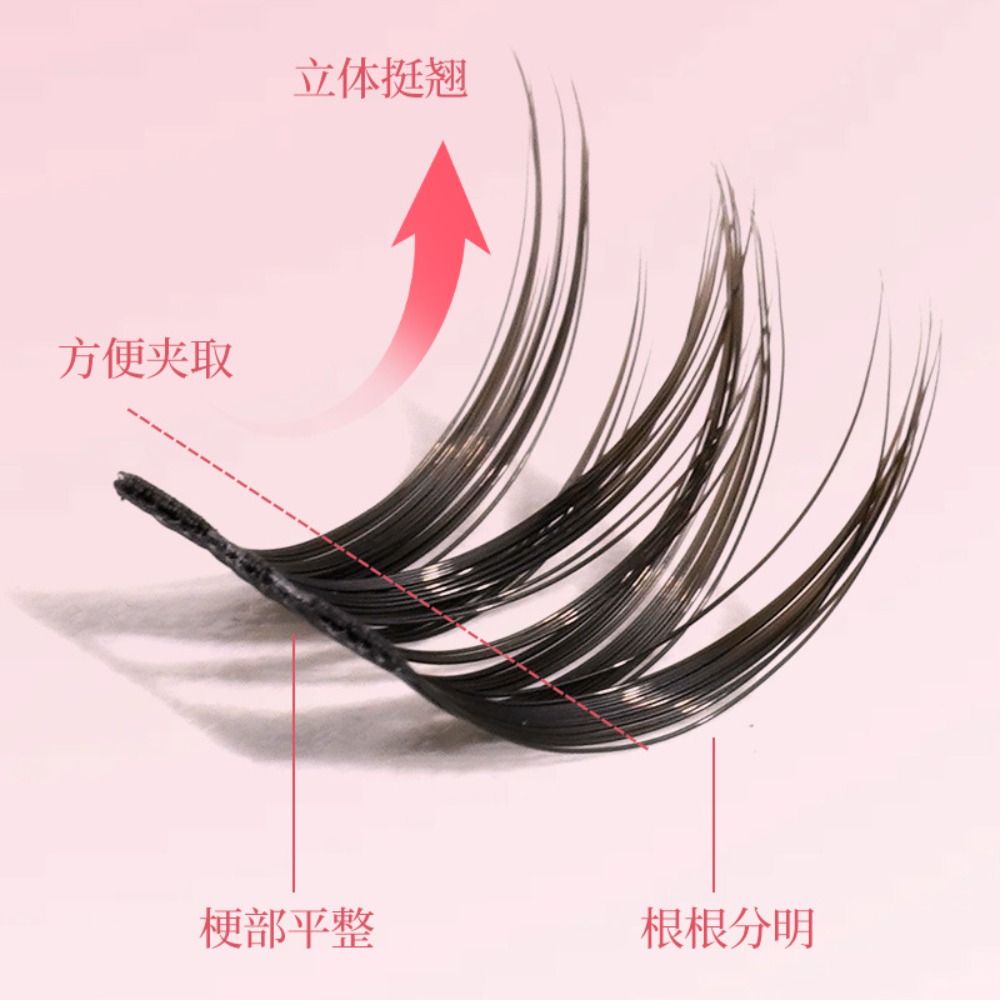 눈을 크게 보이게 하는 DIY 분할형 속눈썹 세트, 곱 - Eyelash Extension Anime Style 리뷰 및 가격