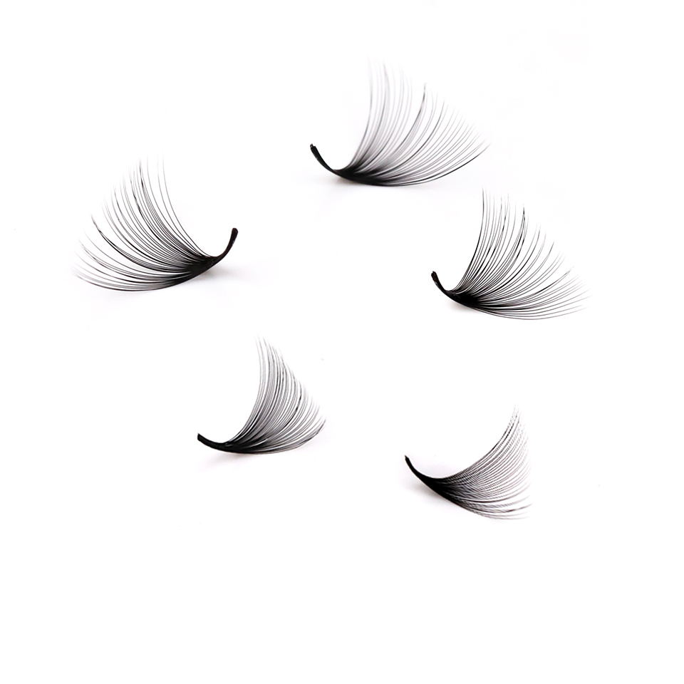 래쉬프로페서 XL 트레이 3D 4D 5D 6D 7D 8 - Eyelash Extension Review 리뷰 및 가격