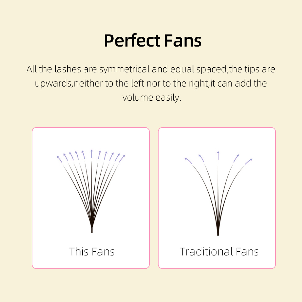 래쉬프로페서 XL 트레이 3D 4D 5D 6D 7D 8 - Eyelash Extension Review 리뷰 및 가격