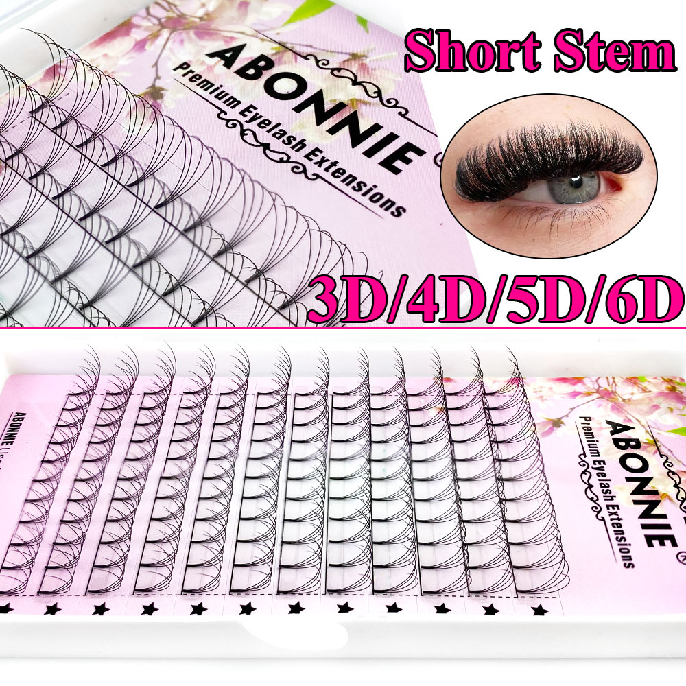 아보니 6D 내로우 팬 프리메이드 팬 러시안 볼륨 팬  - Eyelash Extension Review 리뷰 및 가격
