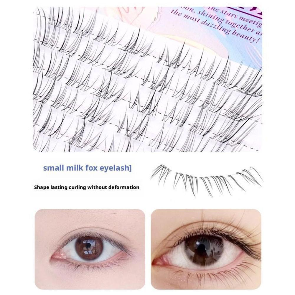해바라기 속눈썹 브라운 만화풍 가짜 속눈썹 자연스럽고  - Eyelash Extension Douyin 리뷰 및 가격